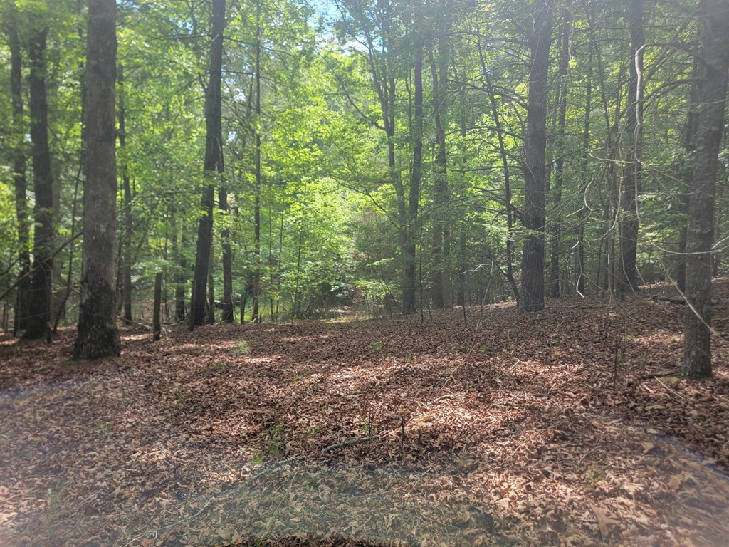 44 Sugar Maple Road Property Photo 11