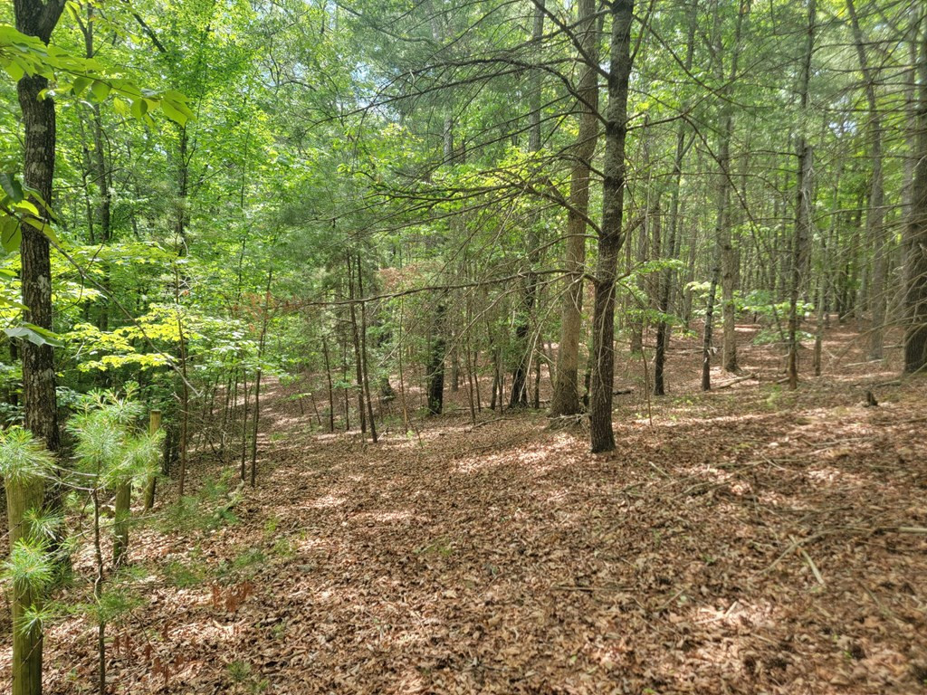 44 Sugar Maple Road Property Photo 12