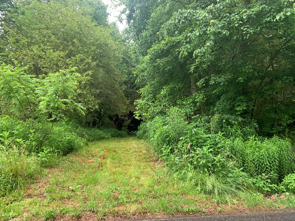 805 Bethabara Road Property Photo 18