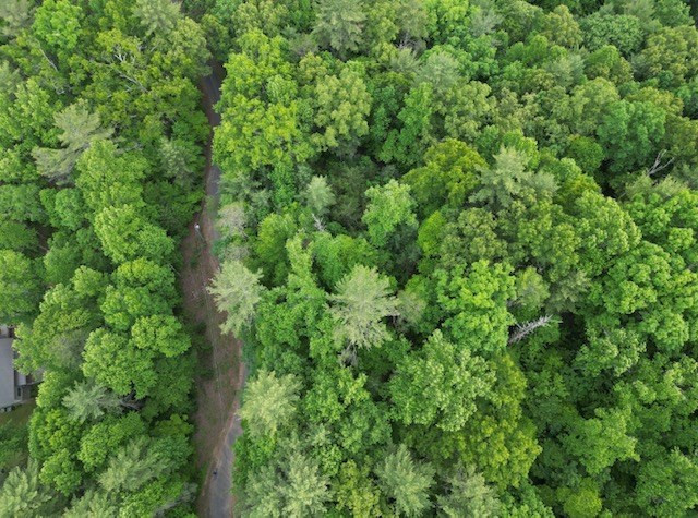 Lot 15 15 Dogwood Trail Property Photo 4