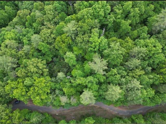 Lot 15 15 Dogwood Trail Property Photo 5