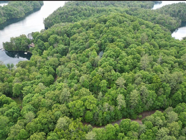 Lot 15 15 Dogwood Trail Property Photo 6