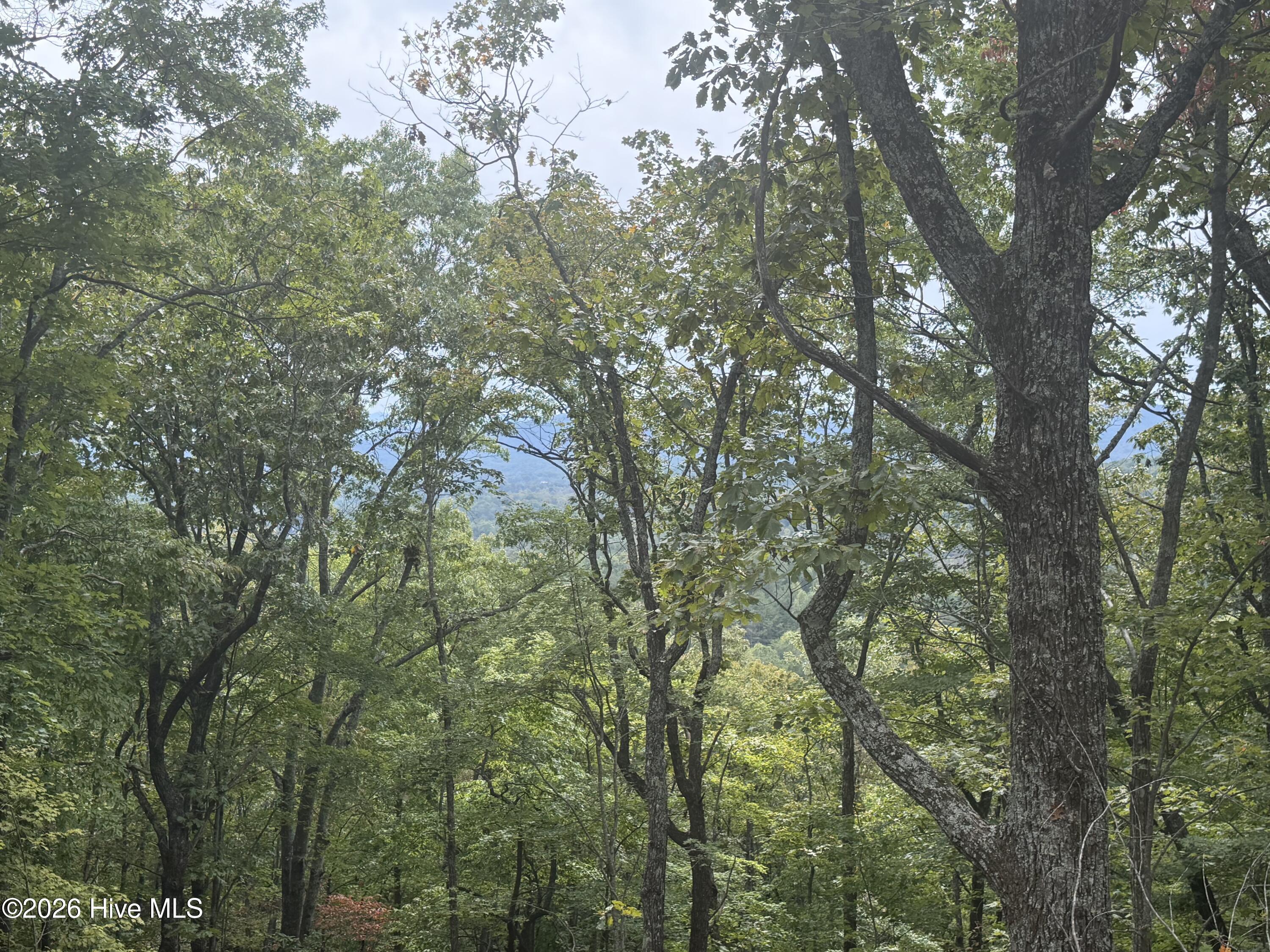 Lot 37 Quail Creek Property Photo 27