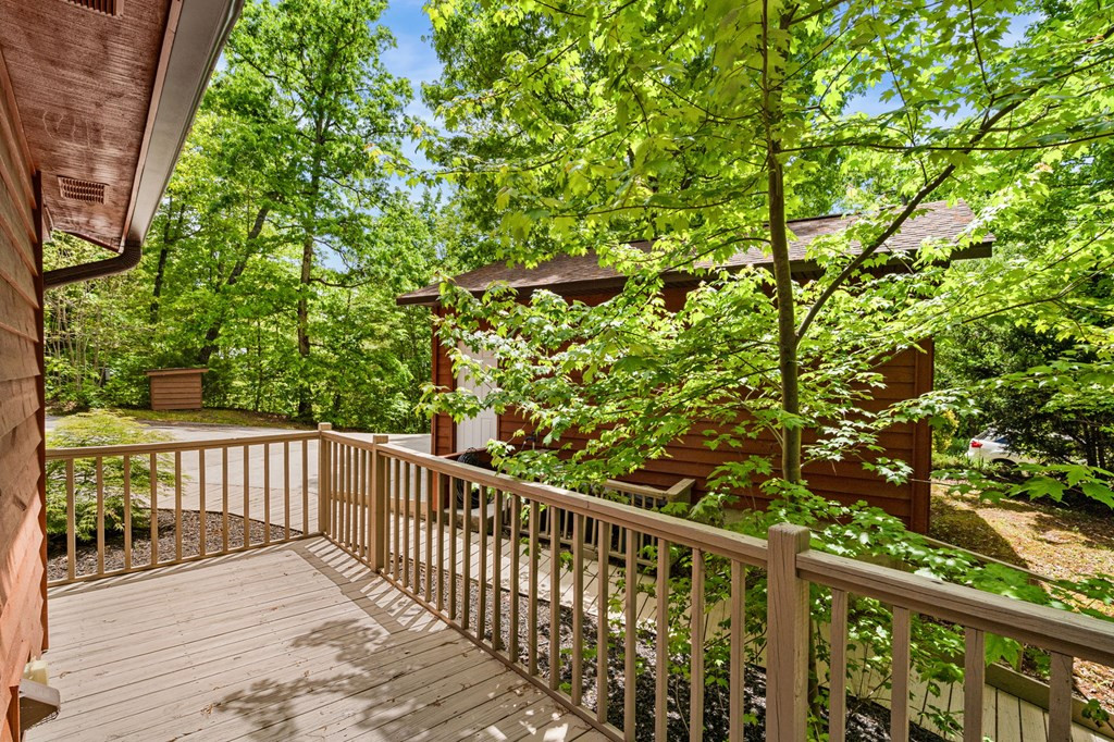 175 Scenic Highlands Drive Property Photo 39