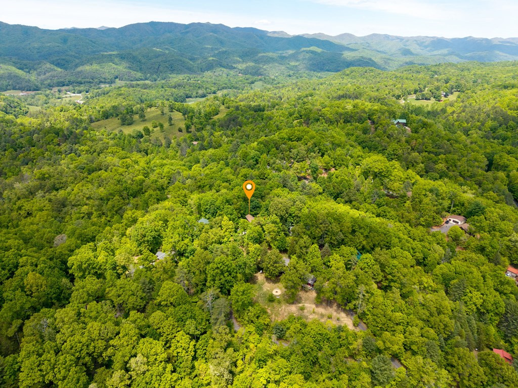 175 Scenic Highlands Drive Property Photo 40