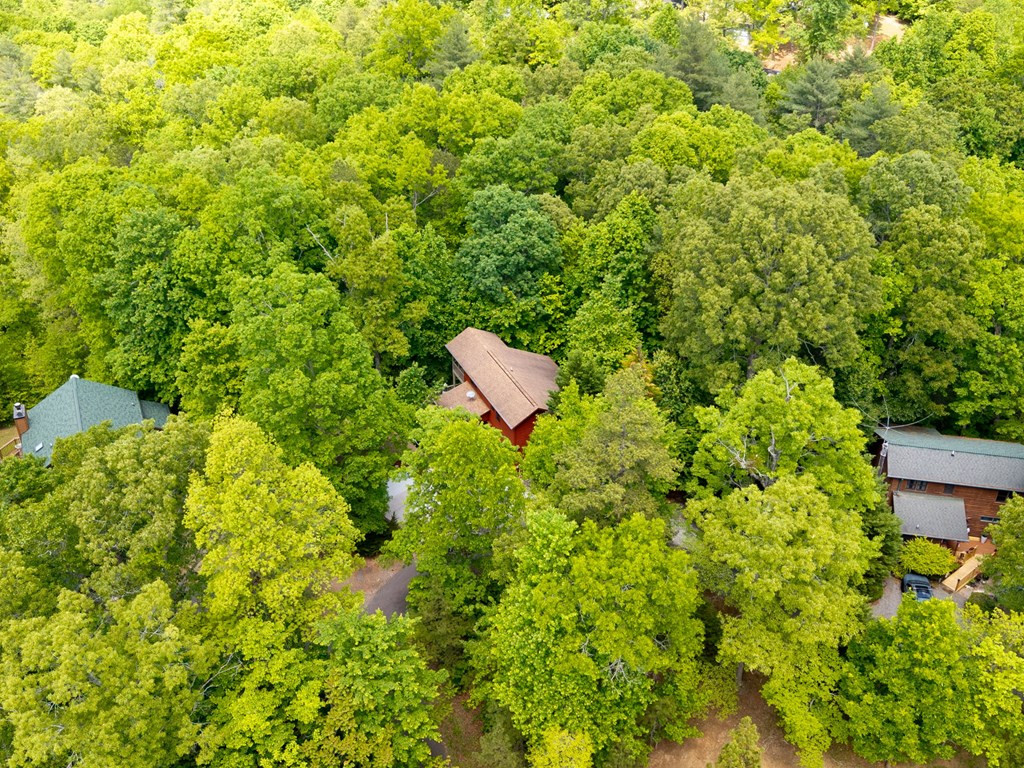 175 Scenic Highlands Drive Property Photo 42