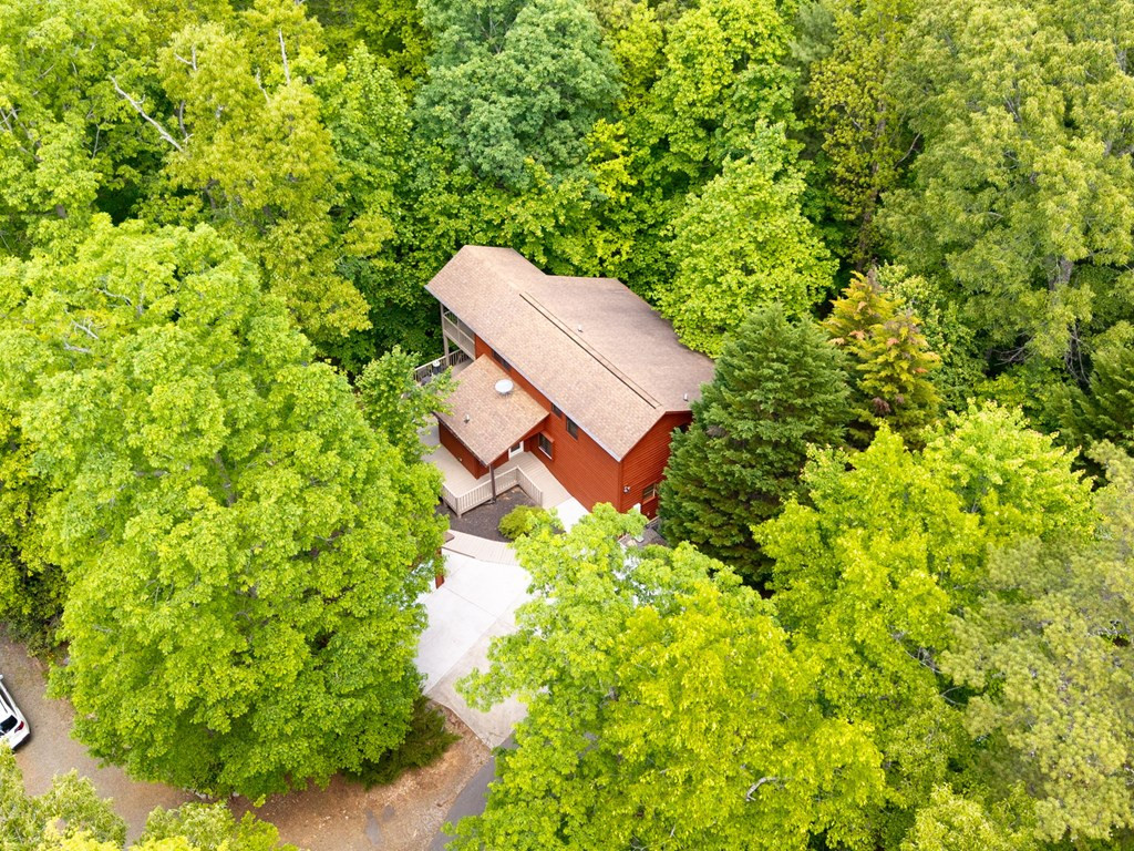 175 Scenic Highlands Drive Property Photo 43