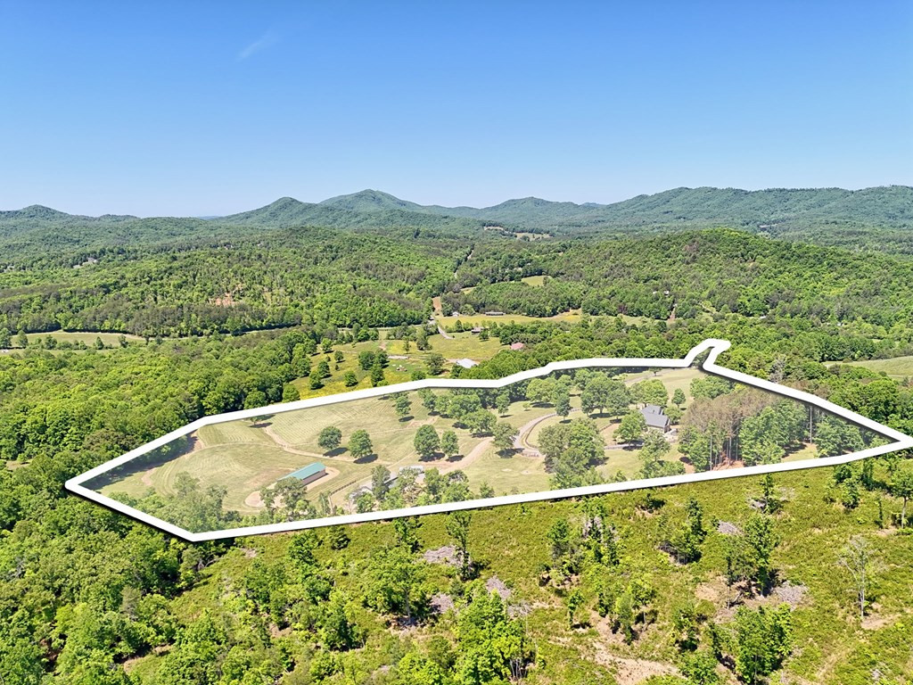 1193 Pine Log Road Property Photo 2