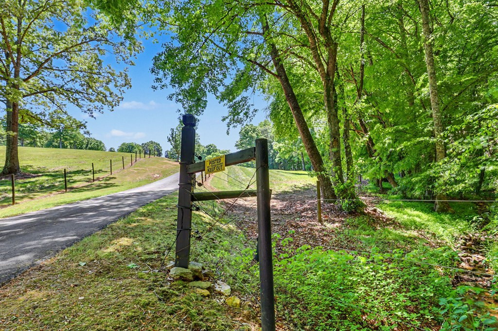 1193 Pine Log Road Property Photo 62