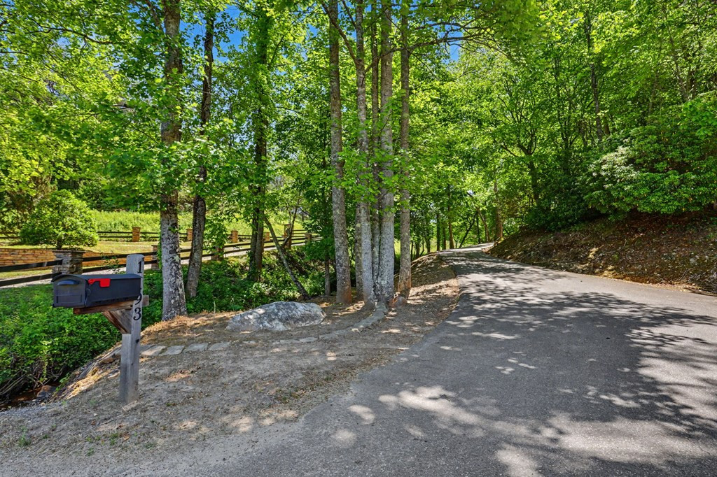 1193 Pine Log Road Property Photo 63