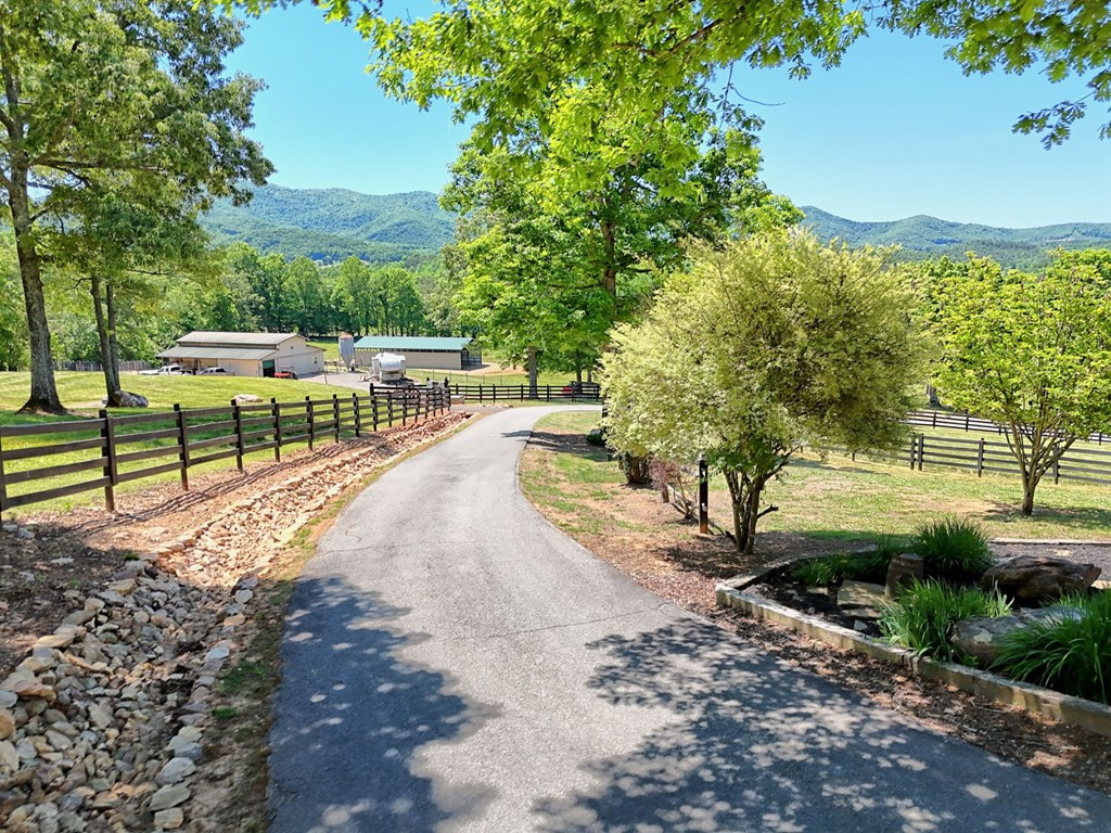 1193 Pine Log Road Property Photo 74
