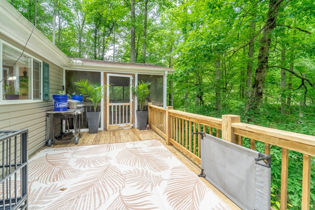 224 Cochrans Creek Road Property Photo 23