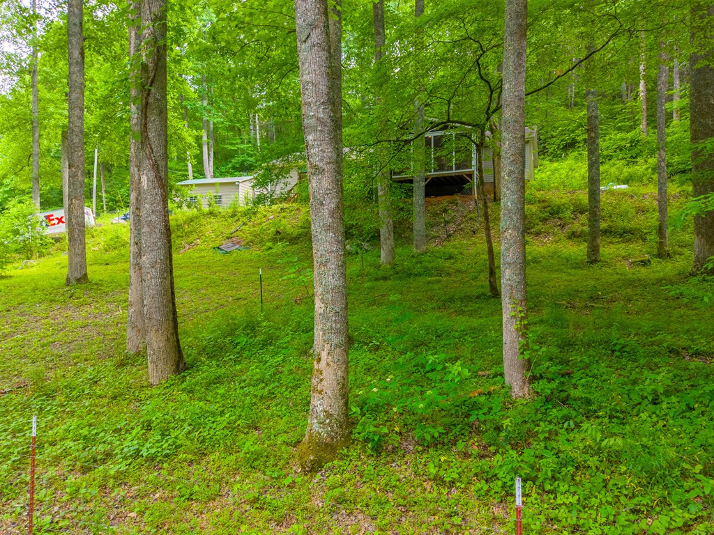 224 Cochrans Creek Road Property Photo 38