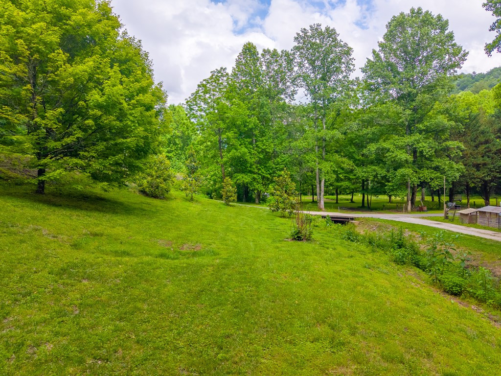224 Cochrans Creek Road Property Photo 39