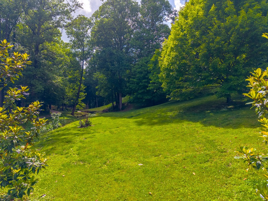 224 Cochrans Creek Road Property Photo 40