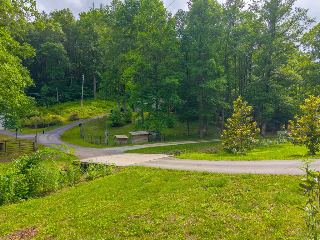 224 Cochrans Creek Road Property Photo 41
