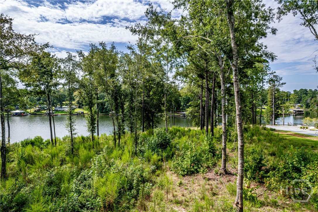 309 Wind Rock Ridge Property Photo 4