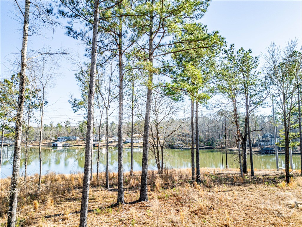 309 Wind Rock Ridge Property Photo 7