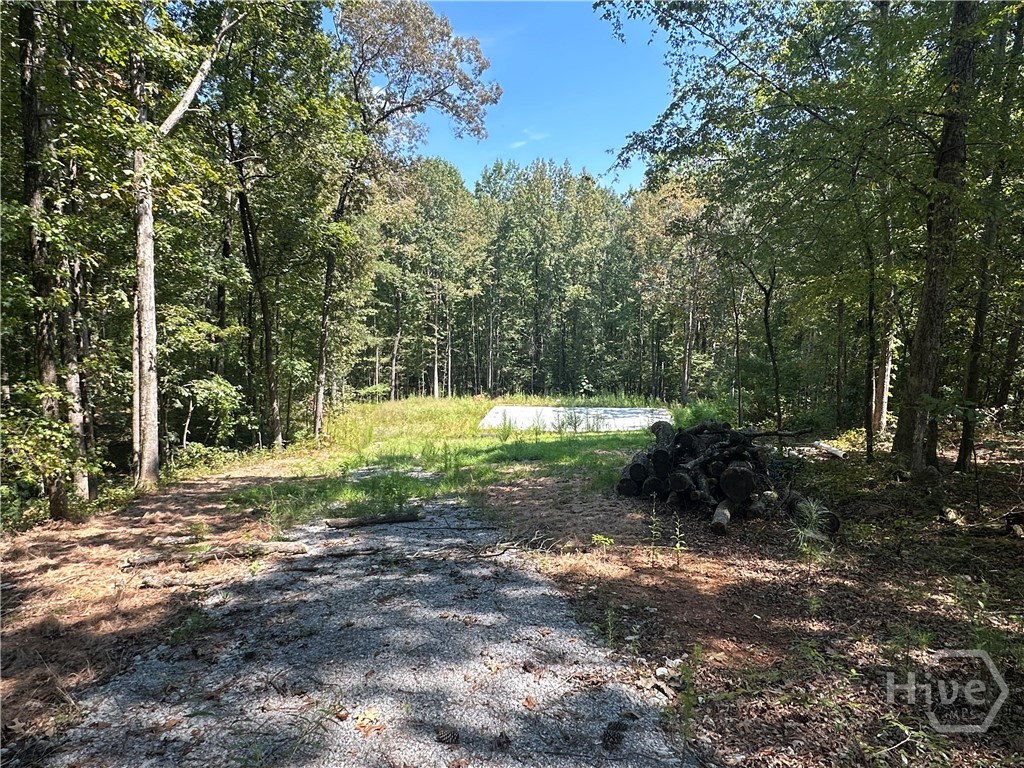 46 Creek Ridge Property Photo 1