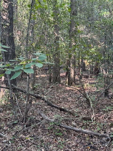 0 Rita Ridge Lot 8 Property Photo 1