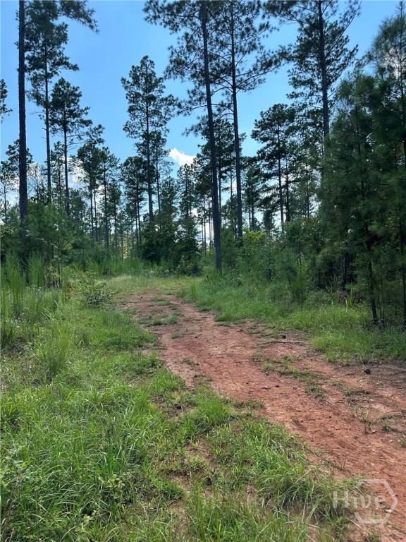 2470 Fears Road Property Photo 33