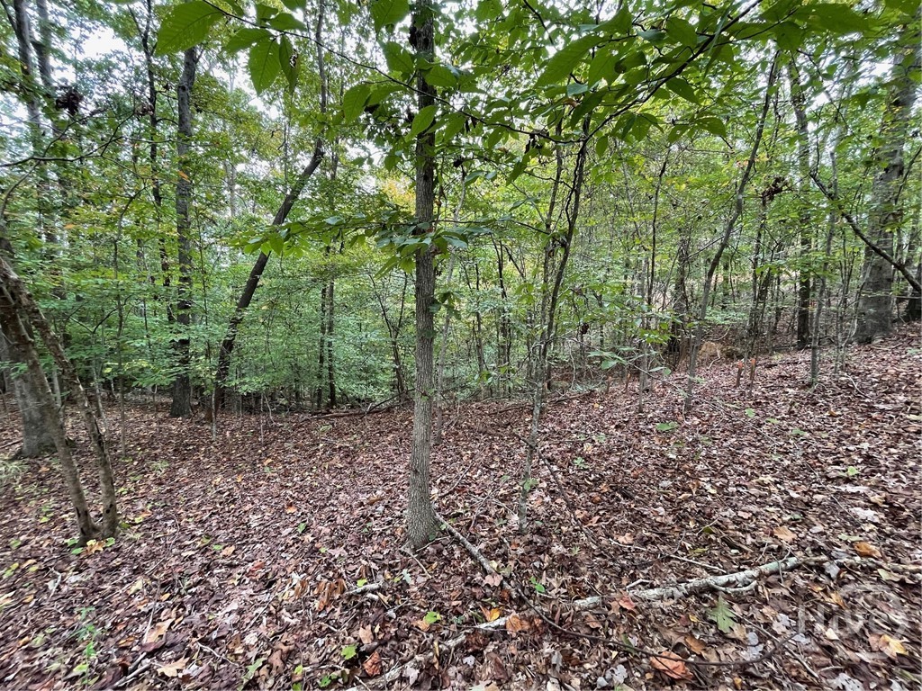 Lot 296 Oconee Avenue Property Photo 3