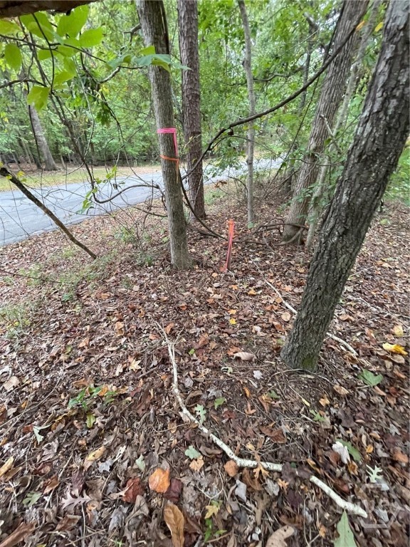 Lot 296 Oconee Avenue Property Photo 6