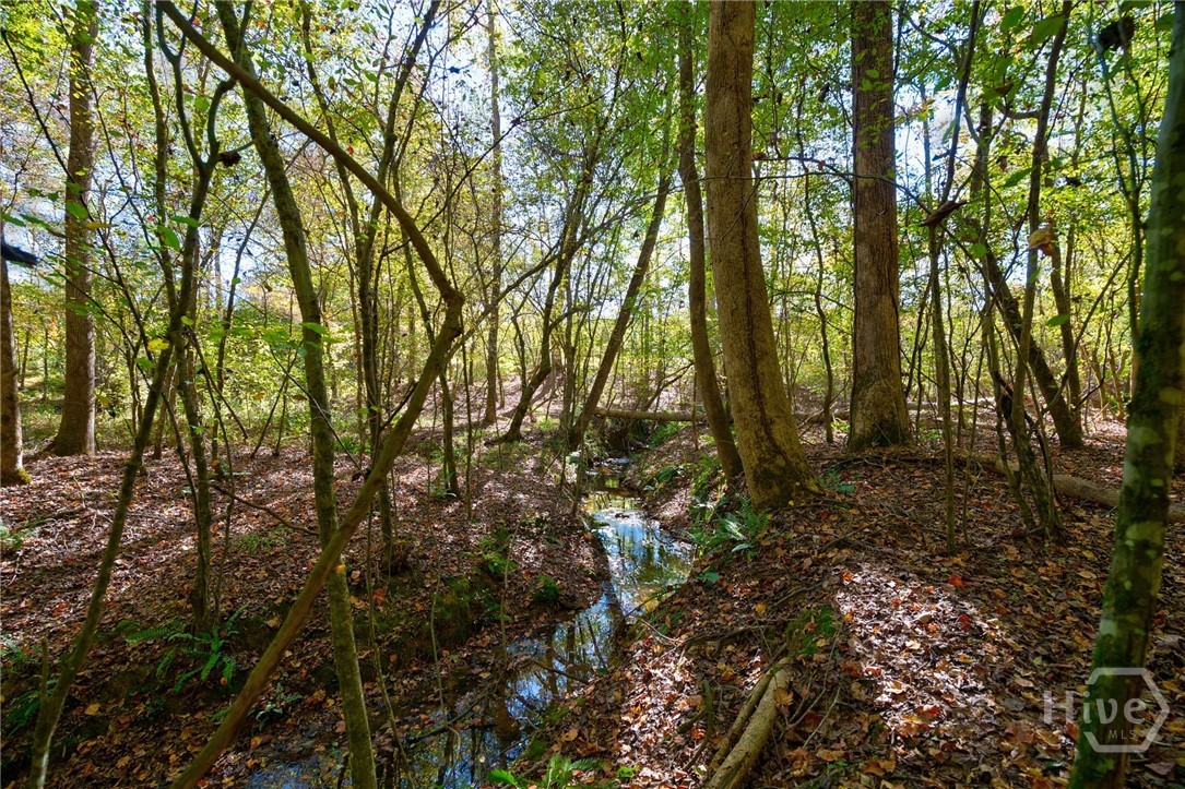 1 Bridges Property Photo 1
