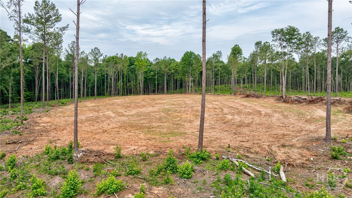 0 Wilson Lane Property Photo 37