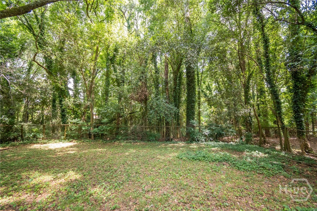 175 Habersham Property Photo 40