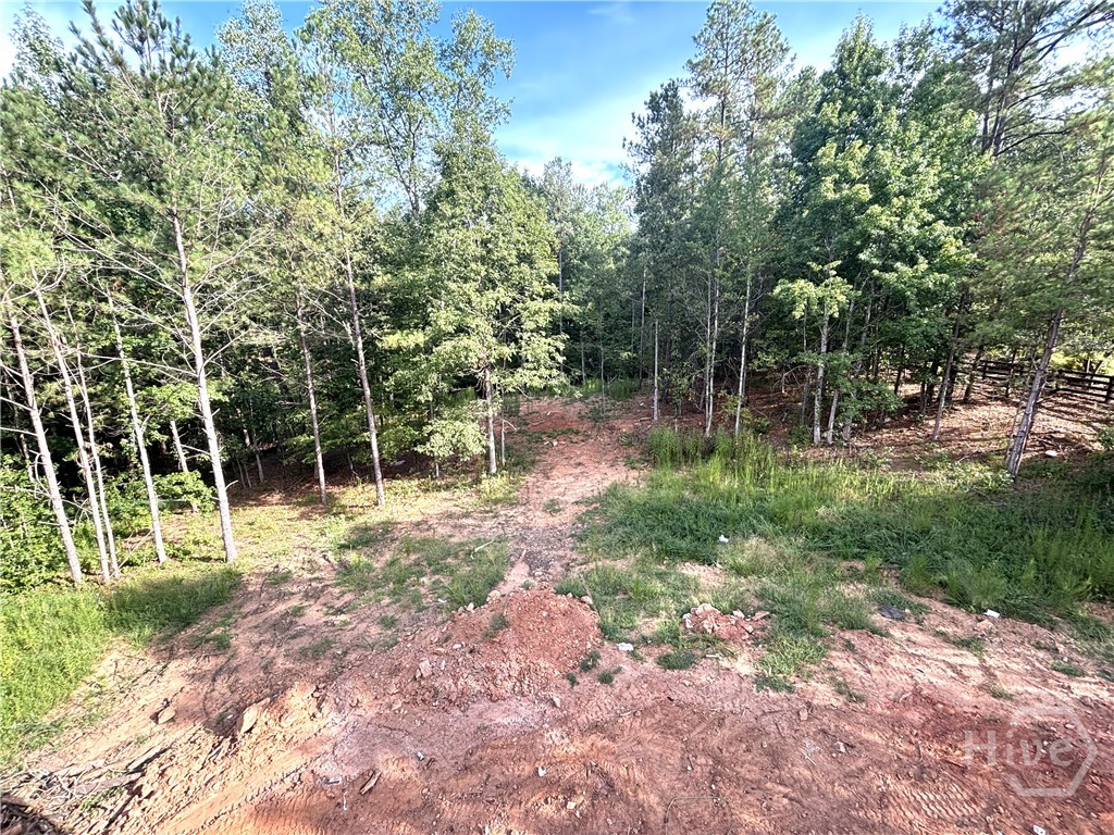 1698 Shoal Creek Way Property Photo 18