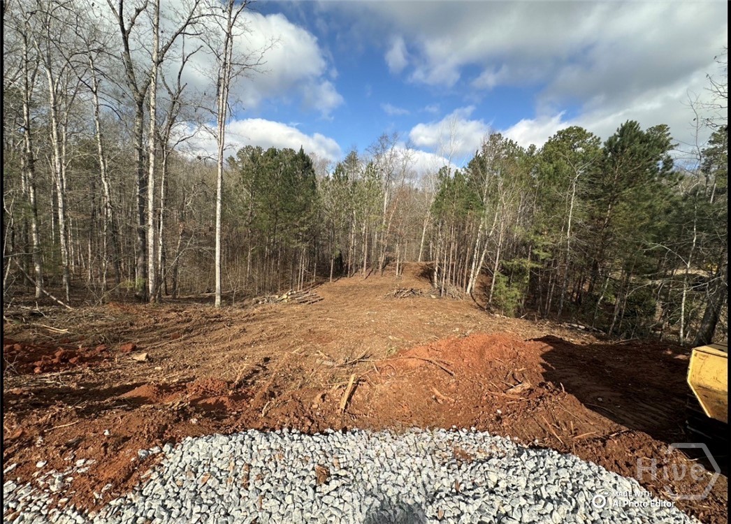 1698 Shoal Creek Way Property Photo 19