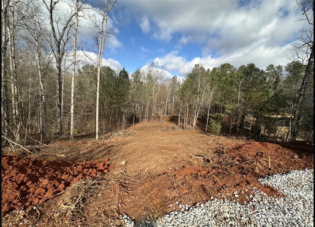 1698 Shoal Creek Way Property Photo 20