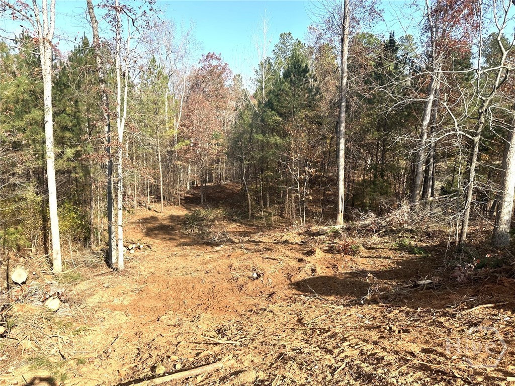 1698 Shoal Creek Way Property Photo 22