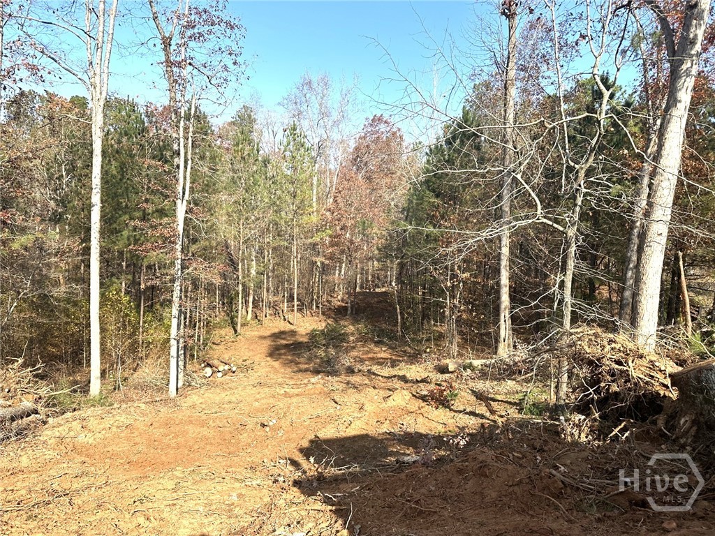 1698 Shoal Creek Way Property Photo 23