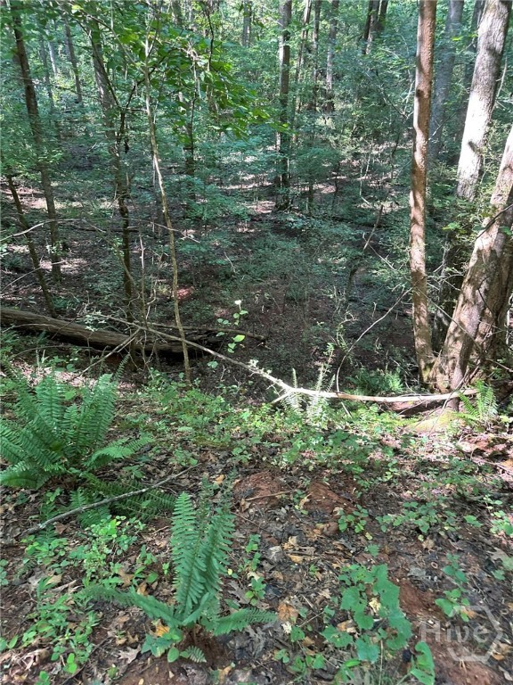 00 Fears Property Photo 3