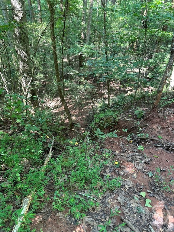 00 Fears Property Photo 16