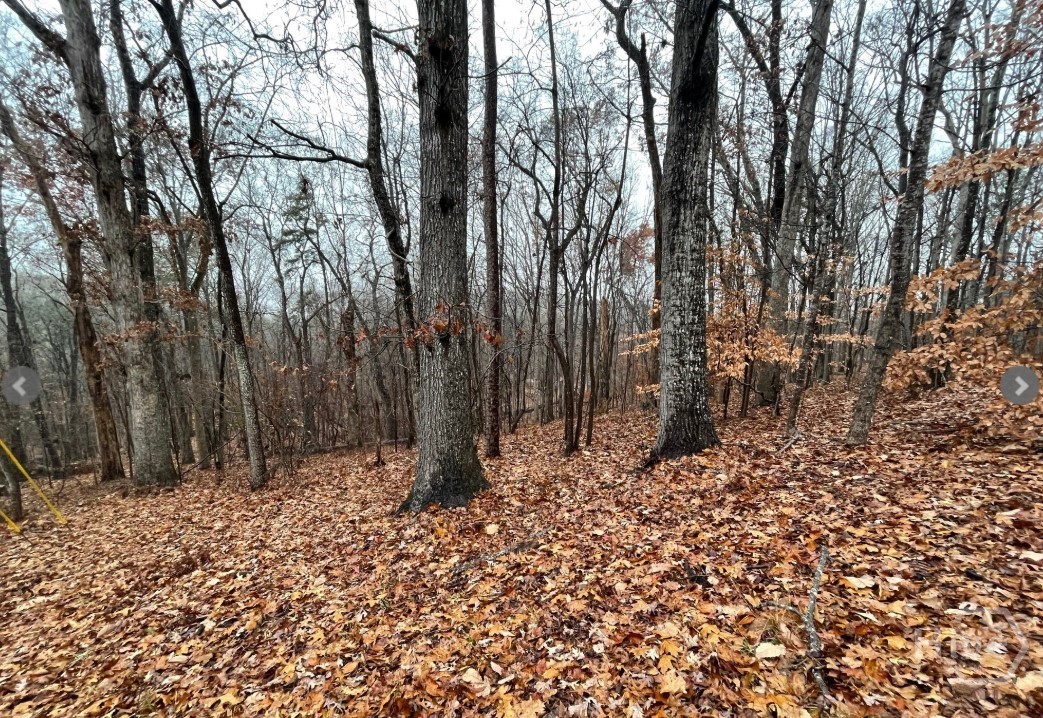 Lot 2134 S Arrowhead Drive Property Photo 1