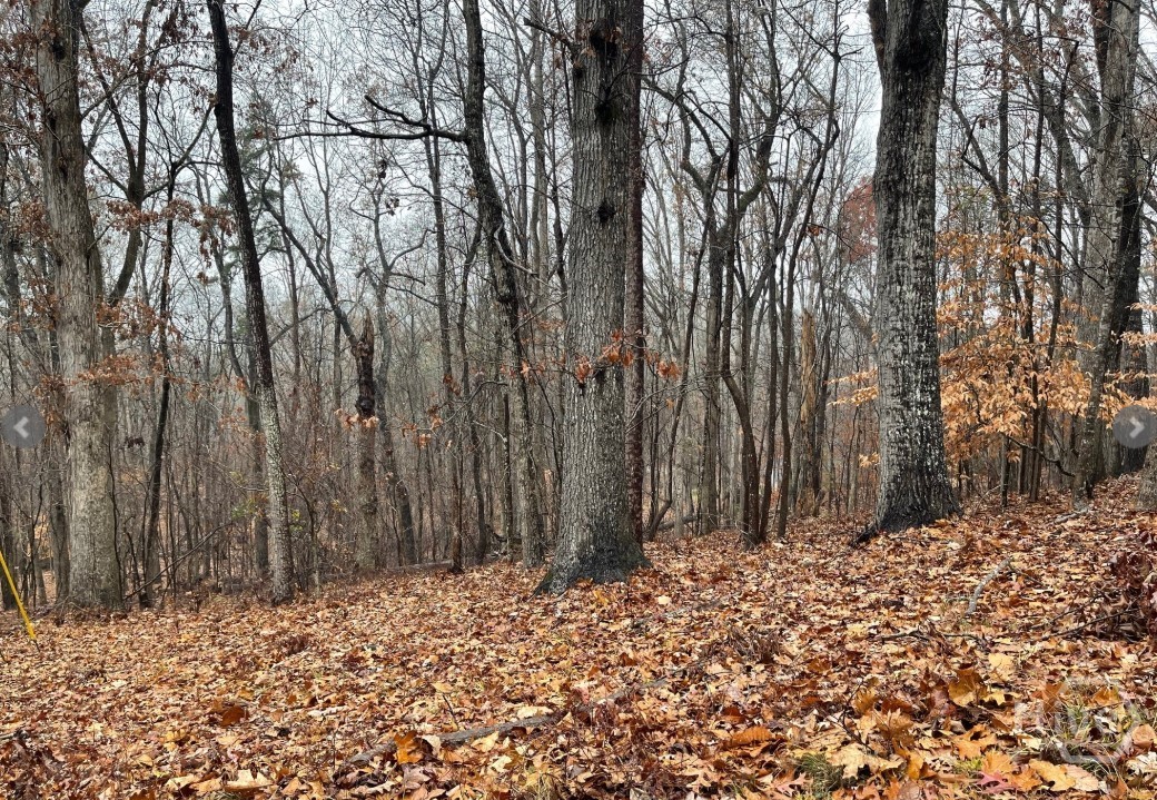 Lot 2134 S Arrowhead Drive Property Photo 2