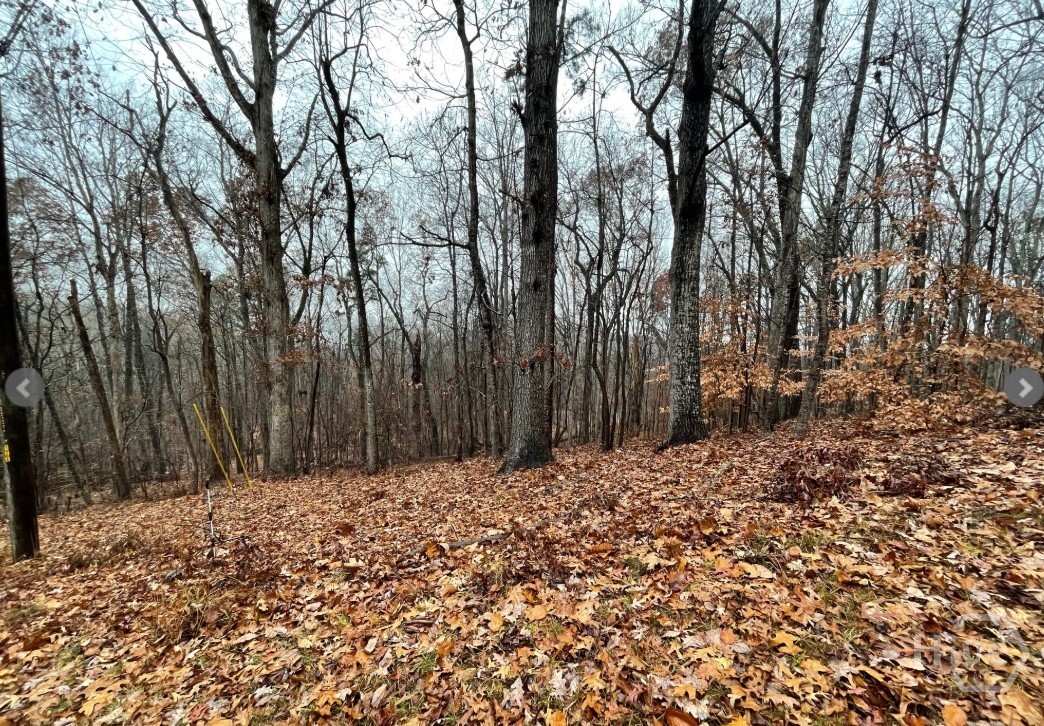 Lot 2134 S Arrowhead Drive Property Photo 3