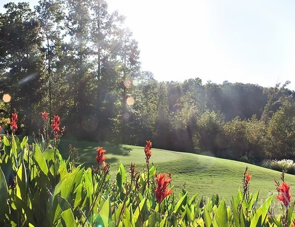 Lot 2134 S Arrowhead Drive Property Photo 12