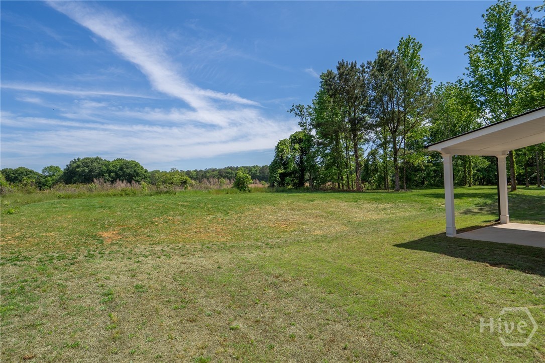 224 Good Hope Preserve Property Photo 44