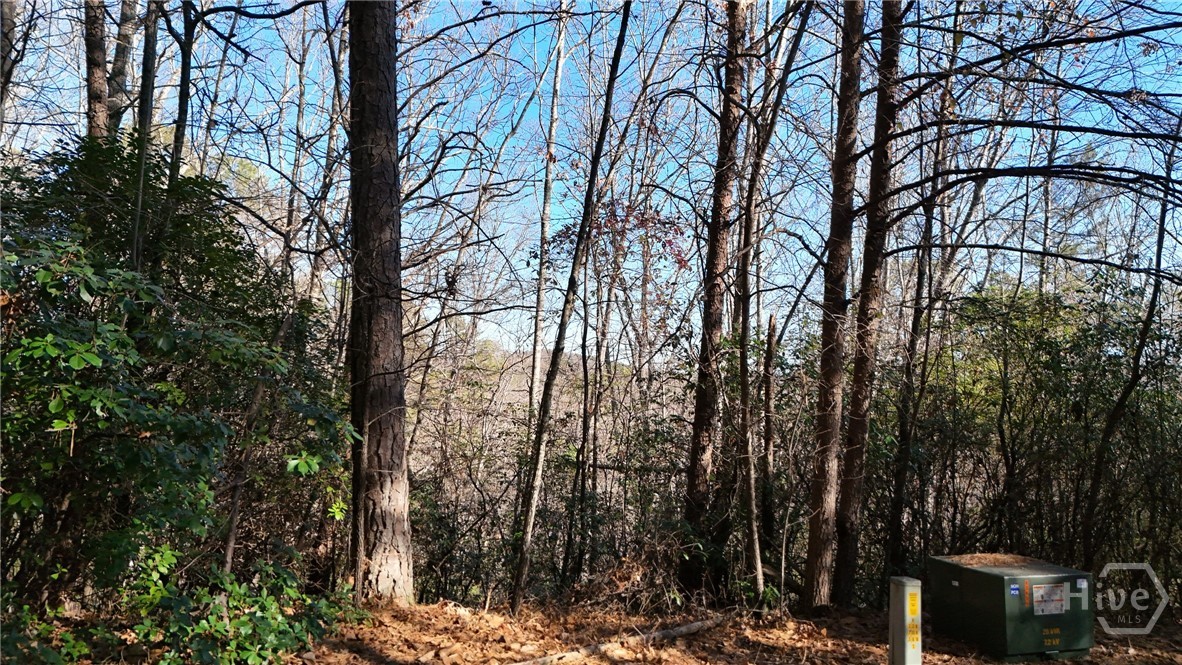 0 Gold Valley Road Property Photo 2