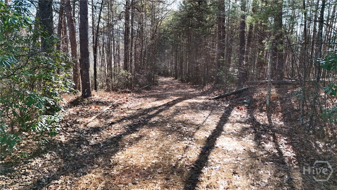 0 Gold Valley Road Property Photo 3