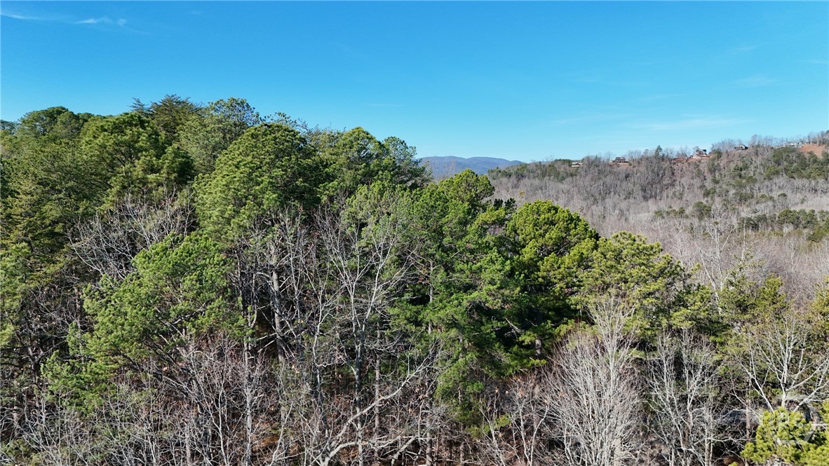 0 Gold Valley Road Property Photo 9