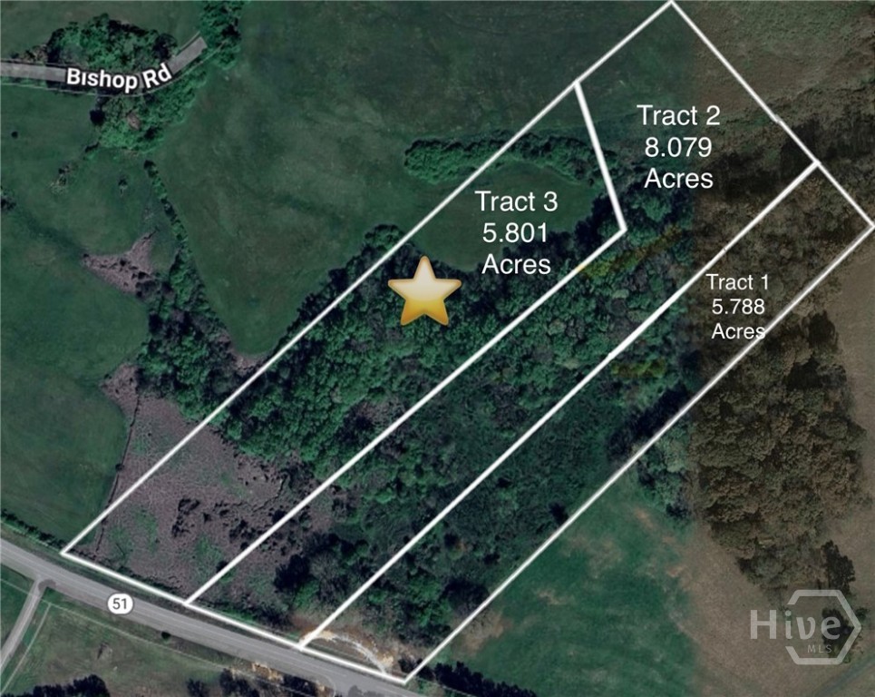 Tract 3 Hwy 51s Property Photo 1