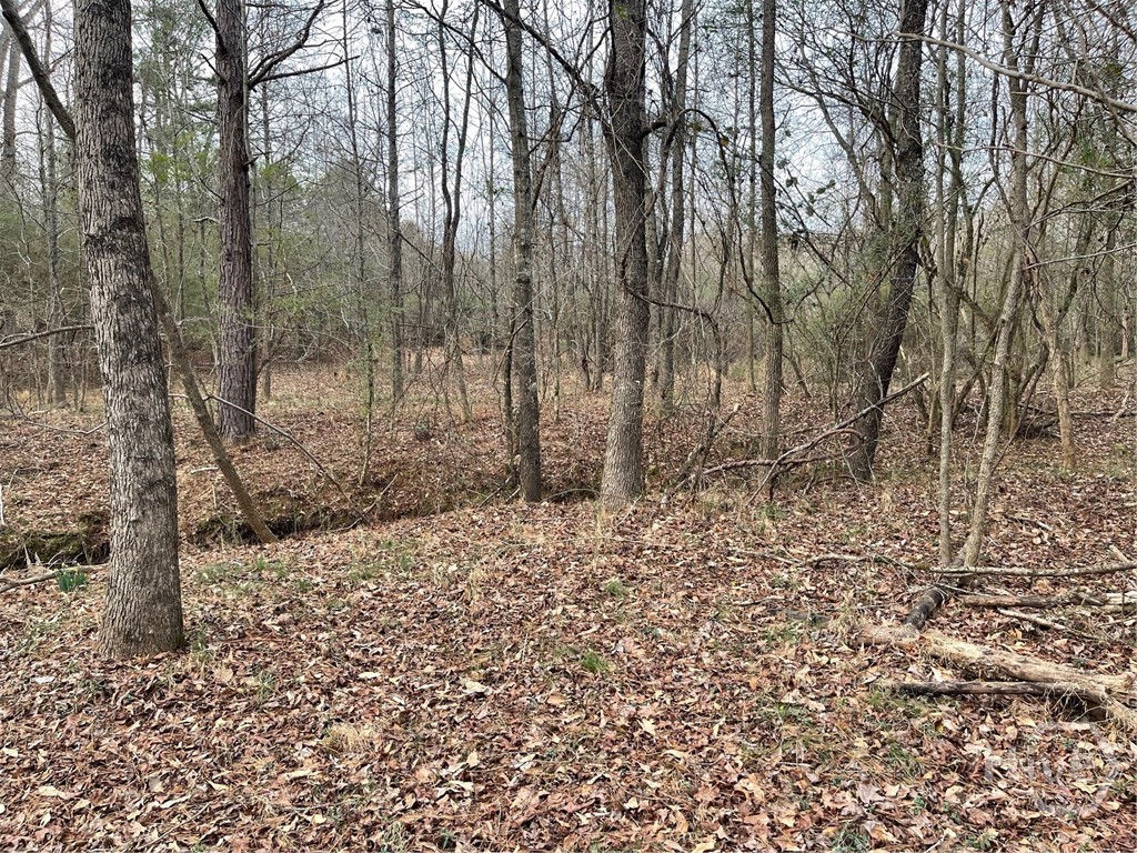 884 Jackson Trail Road Property Photo 2