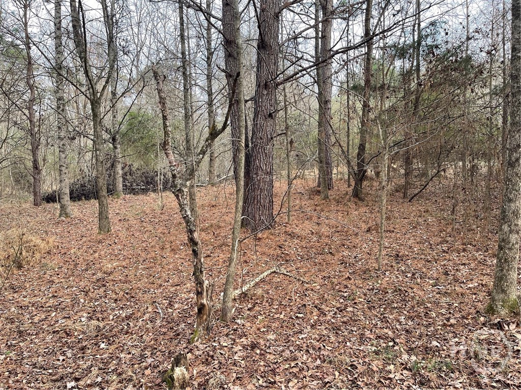 884 Jackson Trail Road Property Photo 3