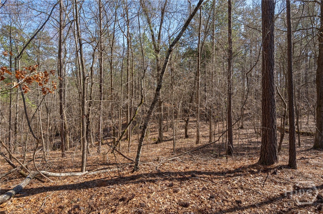 0 Kent Rock Road Property Photo 2