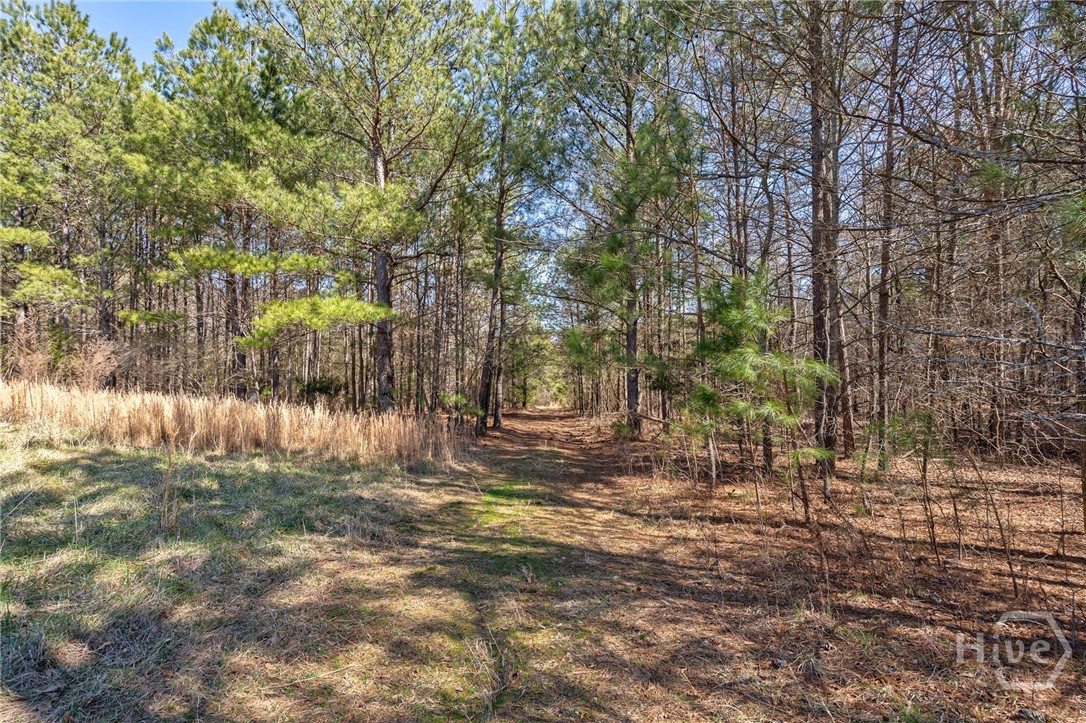 0 Kent Rock Road Property Photo 11